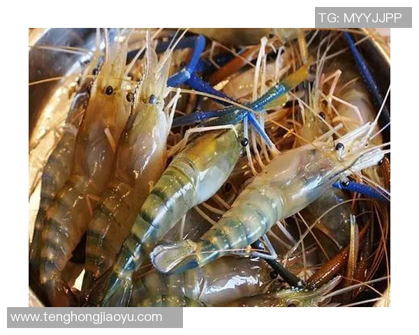 pg电子麻将胡了教学-PG电子麻将胡了实战教学指南-pg电子麻将胡了教学